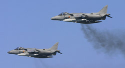 Spanish Harriers