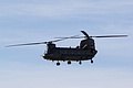 Chinook HC.2 ZA680 acted as drop ship and runs in before a very sharp turn into the hover as the team as it lines up to salute after landing on target.