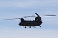 Chinook HC.2 ZA680 acted as drop ship and runs in before a very sharp turn into the hover as the team as it lines up to salute after landing on target.