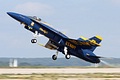 U.S. Navy Blue Angels