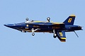 U.S. Navy Blue Angels