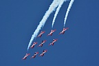 Canadian Snowbirds