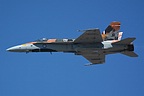 RCAF CF-18 Demo overhead