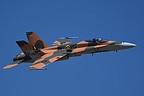 RCAF CF-18 Demo