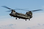 Chinook