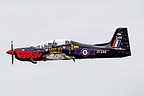 Tucano