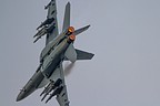 Super Hornet