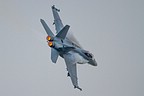 Super Hornet