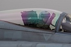 Finnish AF F-18C Hornet pilot