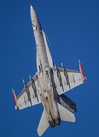 Finnish Air Force F-18 Hornet Solo Display