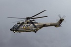 Swiss Super Puma Display Team's AS532 Cougar