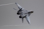 PoAF MiG-29 'Fulcrum' Demo