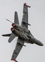FinAF F-18C Hornet Demo