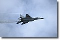 2003_mig-29_2.jpg