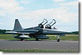 2003_nf-5_1.jpg