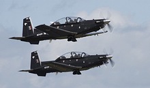 RNZAF Black Falcons display team