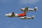 DH-104 Devon and Harvards formation