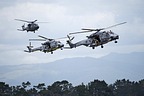 RNZAF NH90 role demo