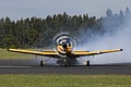 Smoking CT4E Airtrainer