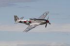 P-51D Mustang display