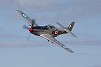 P-51D Mustang display