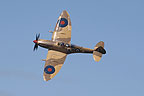 Spitfire TR.9 display