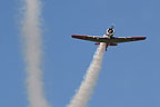 RNZAF Historical Flight T-6 display