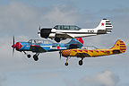 Yak-52 Formation Team