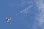 Kiwi Blue parachute team jumping from the C-47