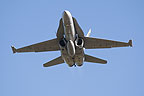 RAAF F/A-18A Hornet