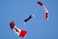 Canadian Skyhawks