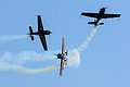 Royal Jordanian Falcons