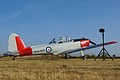 De Havilland Canada Chipmunk T.10 in Royal Navy markings