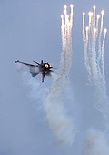 Royal Netherlands Air Force F-16AM Demo Team