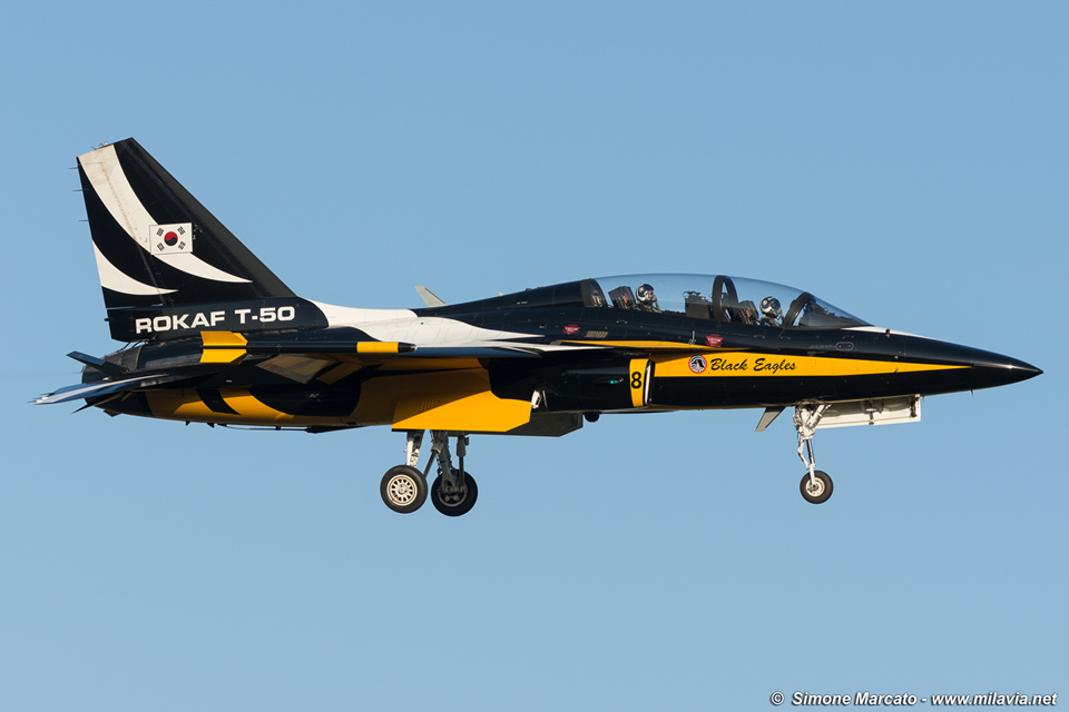 RoKAF Black Eagle #8