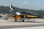 RoKAF Black Eagles leader