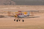 DH.82A Tiger Moth IIs