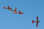 Even the Harvards joined the fight