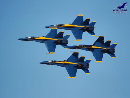 Blue Angels Wallpaper