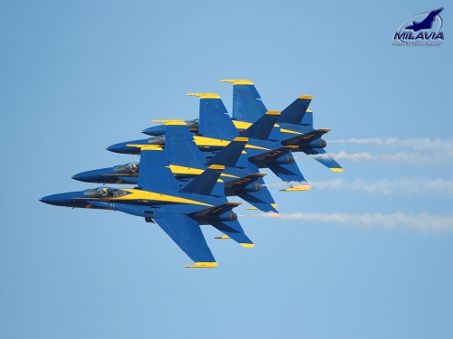 Blue Angels Wallpaper