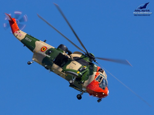 Belgian Sea King Wallpaper