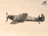 WWII Battle of Britain Hurricane