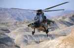 124-1-afghanistan-tiger