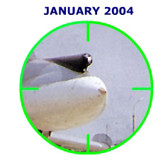 January 2004 Quiz picture