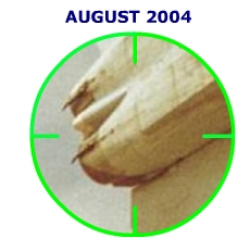 August 2004 Quiz picture