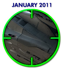 January 2011 Quiz picture