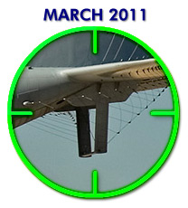 March 2011 Quiz picture