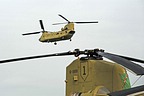 CH-47F Chinook sporting the 1st Infantry Division insignia