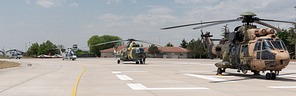 Line-up Anatolian Phoenix 2021-1 helicopters