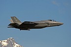 The F-35A 15-5203 is sporting the "Black Widows" emblem at the top of the tail. 
